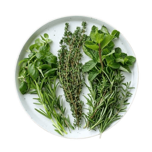 Herbs