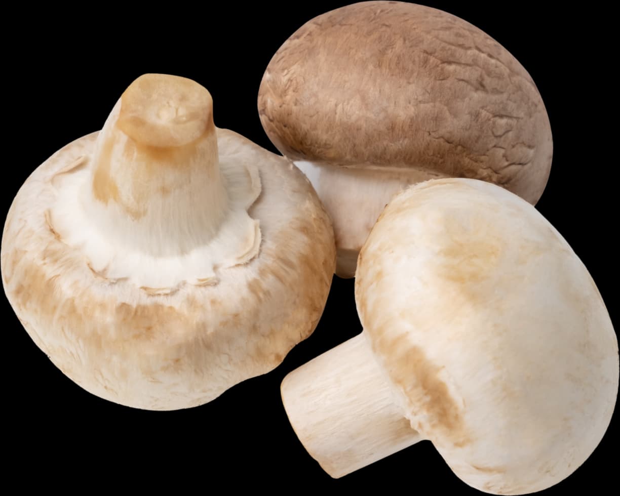 Mushrooms
